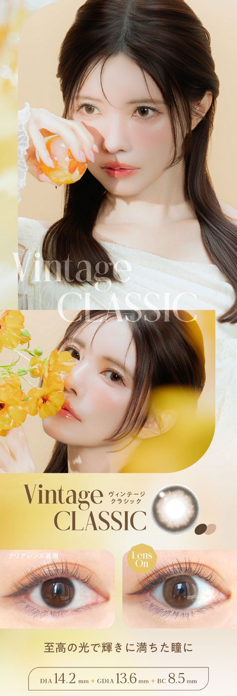 益若つばさデザインプロデュースBamb Series 1day Vintage