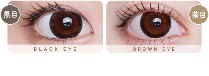 クリオネラテ　レンズ