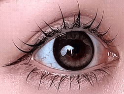 インカメラ（反転）で室内撮影