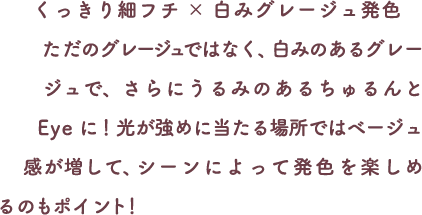 説明
