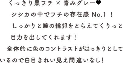 説明
