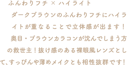説明