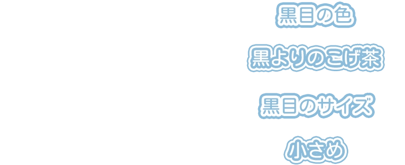 黒目の色:黒よりのこげ茶 黒目のサイズ:小さめ