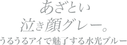 あざとい泣き顔グレー。うるうるアイで魅了する水光ブルー