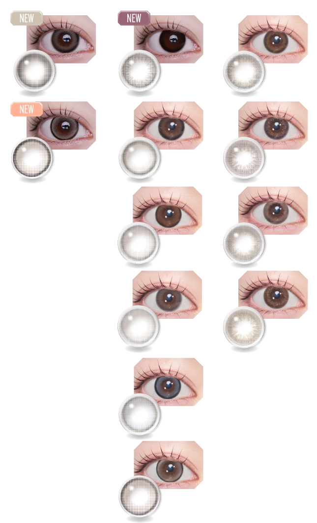 NEW ALL 12 COLLECTION