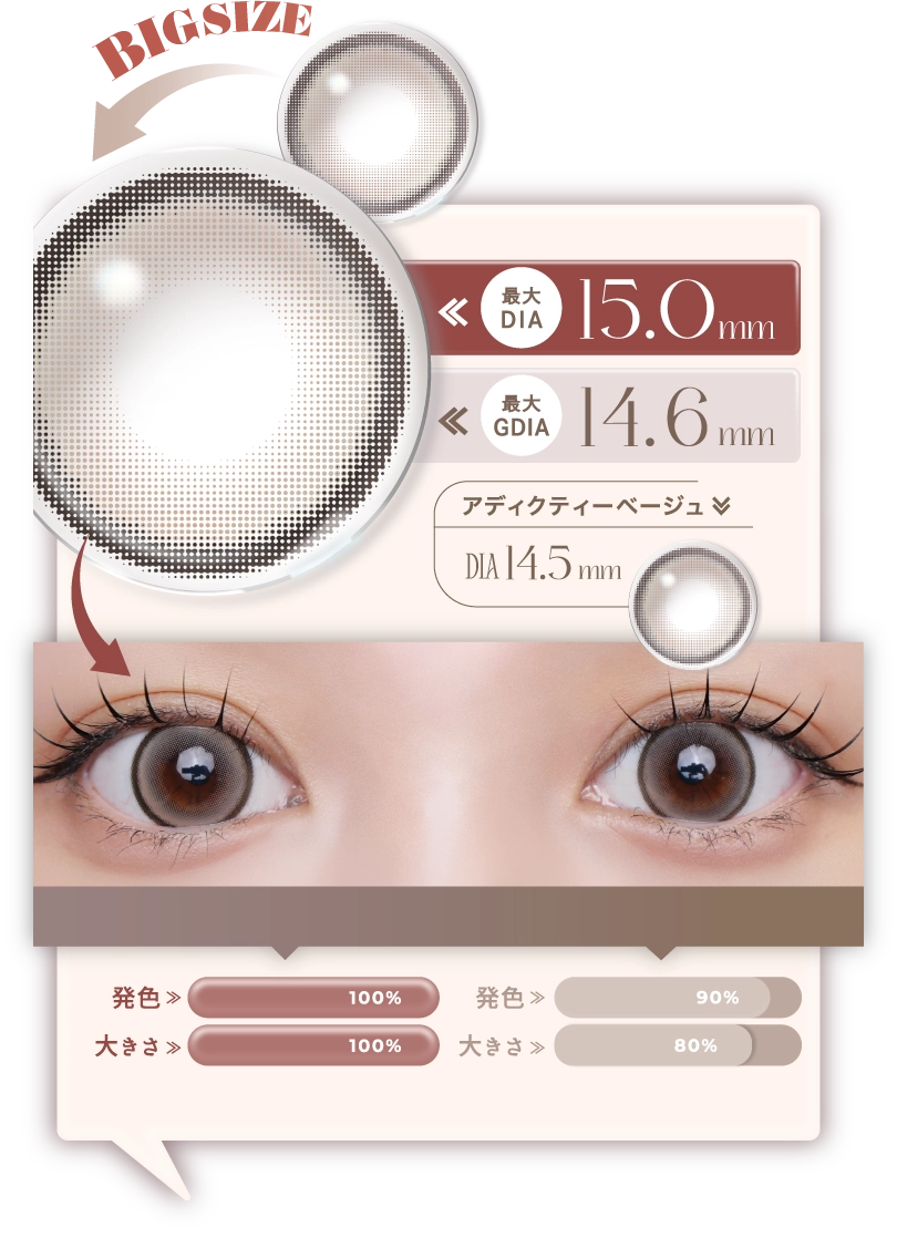 BIG ADDICTEA BEIGE と ADDICTEA BEIGE の着用比較画像