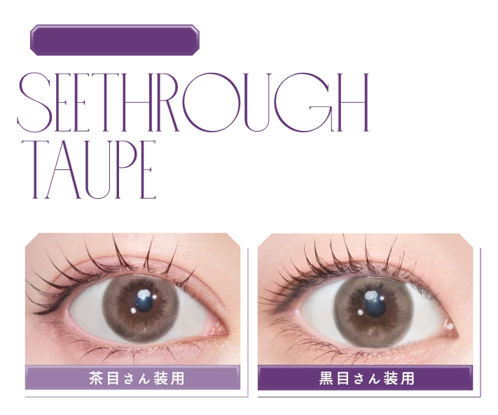 SEETHROUGH TAUPE
