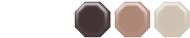 LENS COLOR