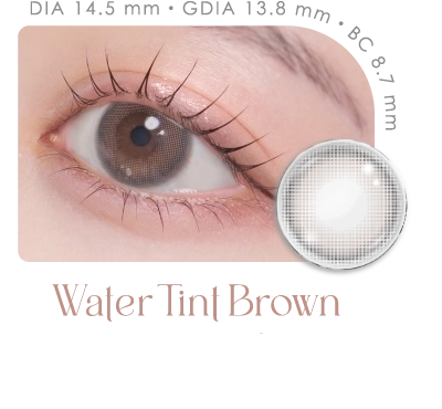 ウォーターティントブラウン