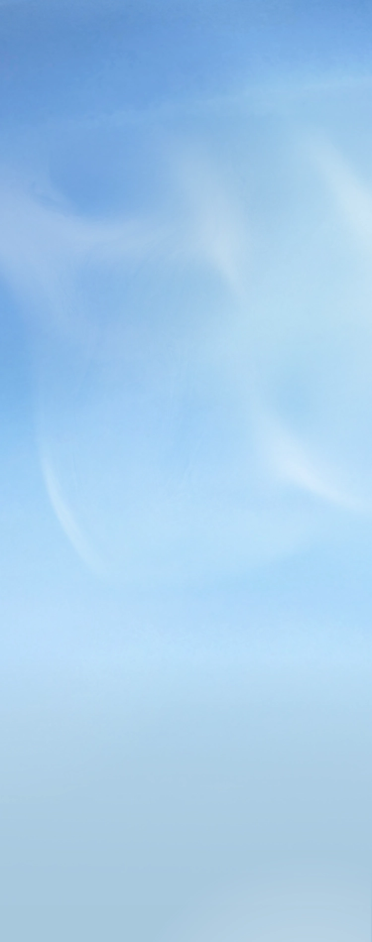 ABOUT TORIC　背景