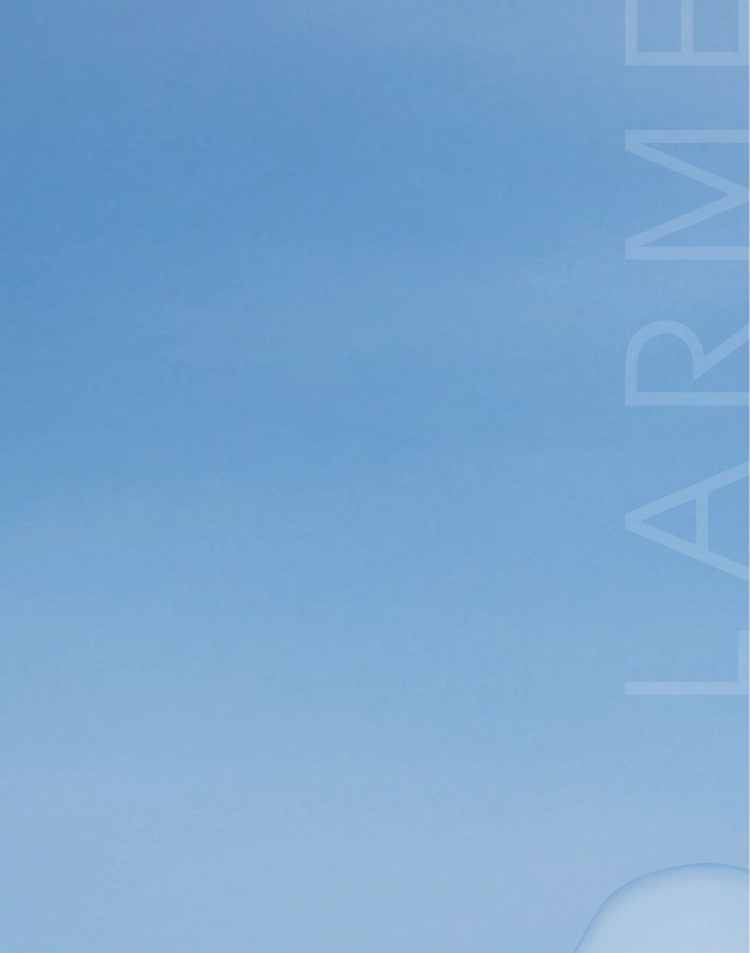 LARME SILICONE HYDROGEL TORIC