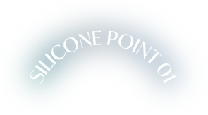 SILICON POINT 01