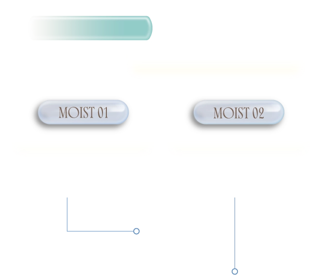 SILICON POINT 02