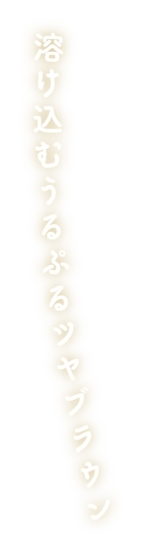 溶け込むうるぷるツヤブラウン