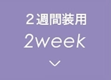 ２週間装用2eek