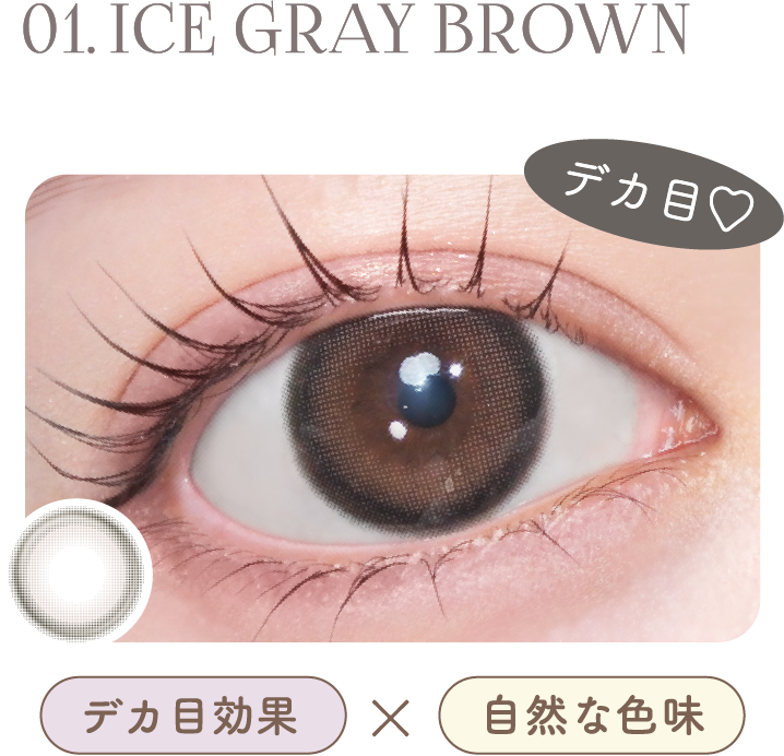 01.ICE GRAY BROWN