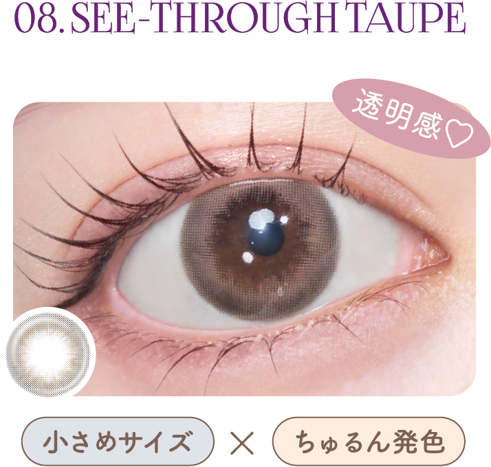 08.SEE-THROUGH TAUPE
