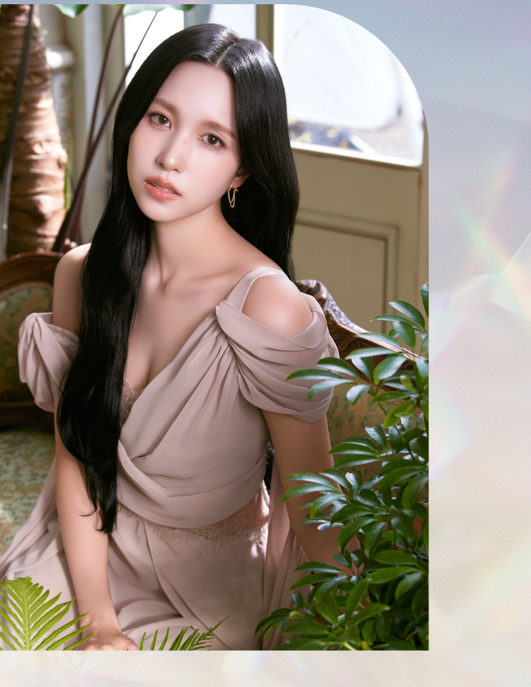 sheer_series_2