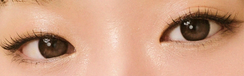 シアーノワール　画像