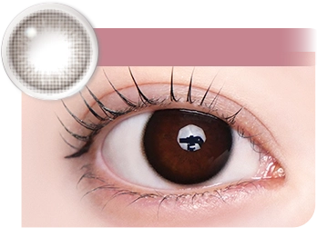 クラッシィシャドウ