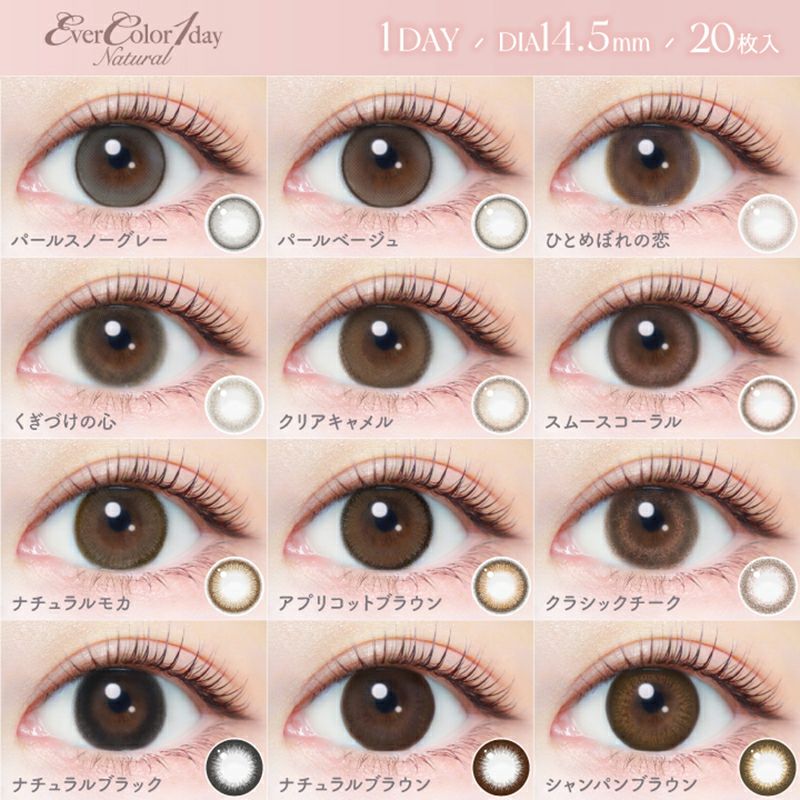 当店在庫してます！ 新木優子さんイメージモデルEverColor1day NATURAL(エバーカラー コンタクトレンズ