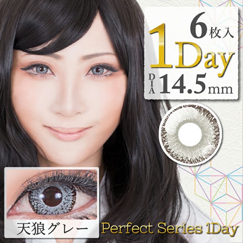 Perfect Series1day パーフェクトシリーズワンデー 天狼グレー(1箱6枚