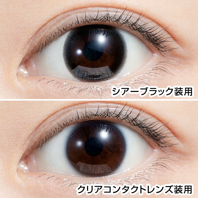 白石麻衣さんイメージモデル♪ feliamo フェリアモ シアーブラック(1箱