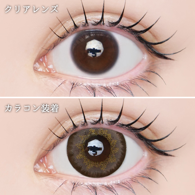 colors1d カラーズワンデー メガブラウン(1箱10枚入り) | カラコン人気