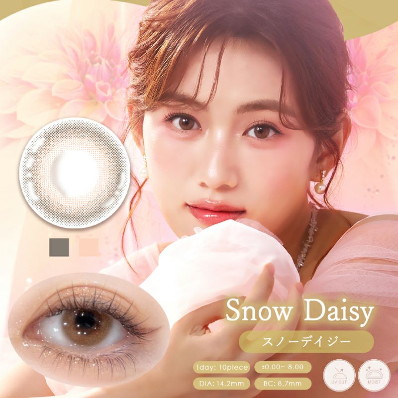 シークレットオブスノーウィデイ ディズニー ダッフィーフレンズ シークレットオブスノーウィーデイ