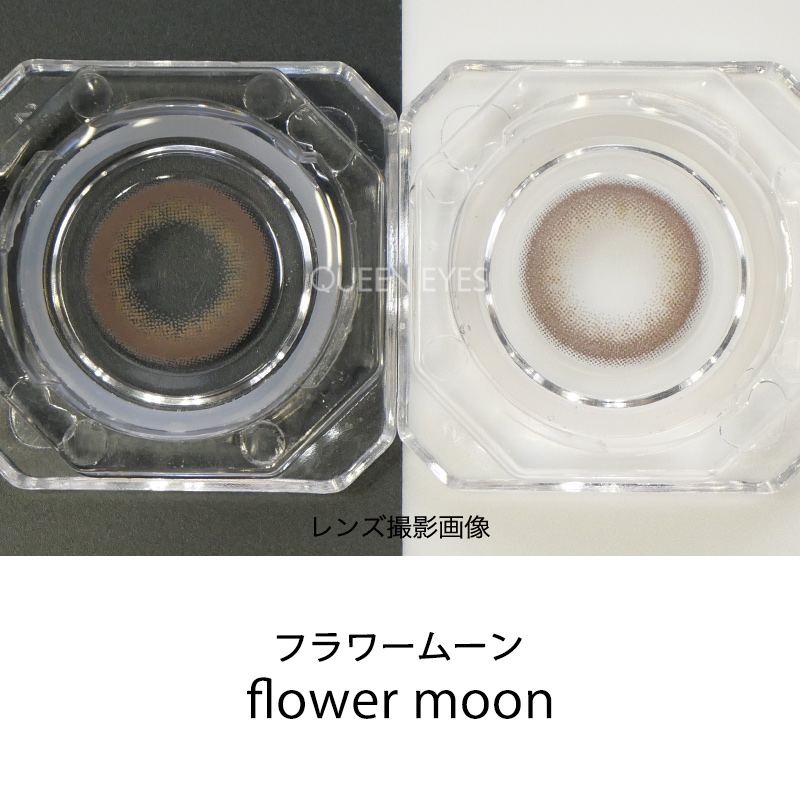 Flanmy フランミー ダークモカ 1箱10枚入り カラコン人気通販クイーンアイズ